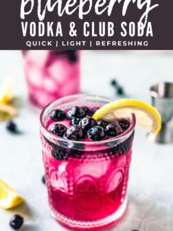 blueberry vodka & club soda pin