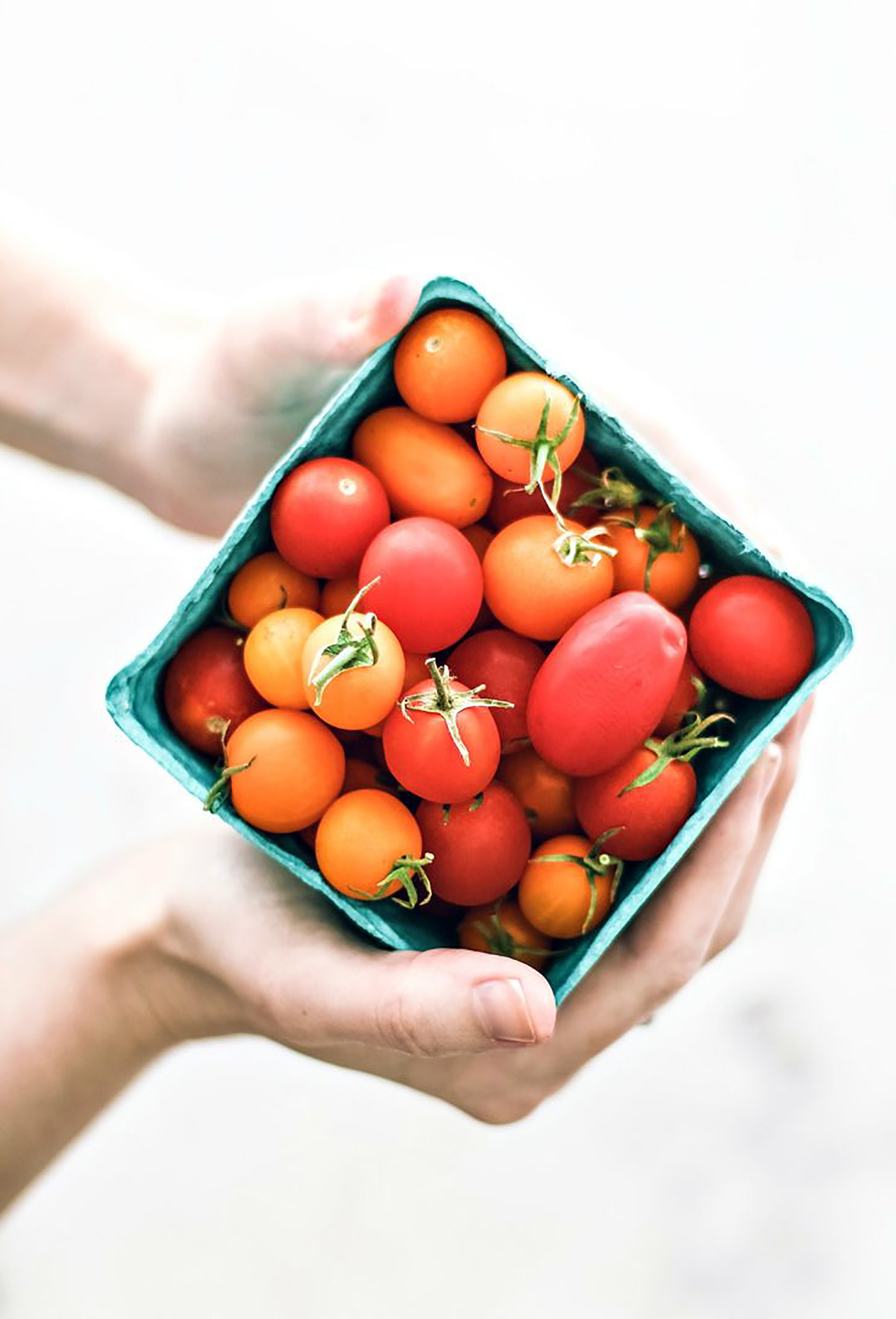 Hands holding up a carton of cherry tomatoes.