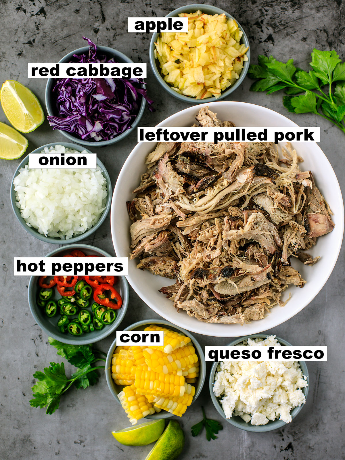 Flatlay shot of ingredients: pulled pork, apple, red cabbage, onion, hot peppers, corn, queso fresco, limes, and cilantro.