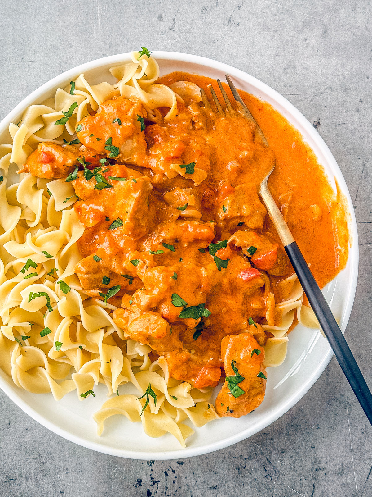 Plate of chicken paprikash over egg noodles.