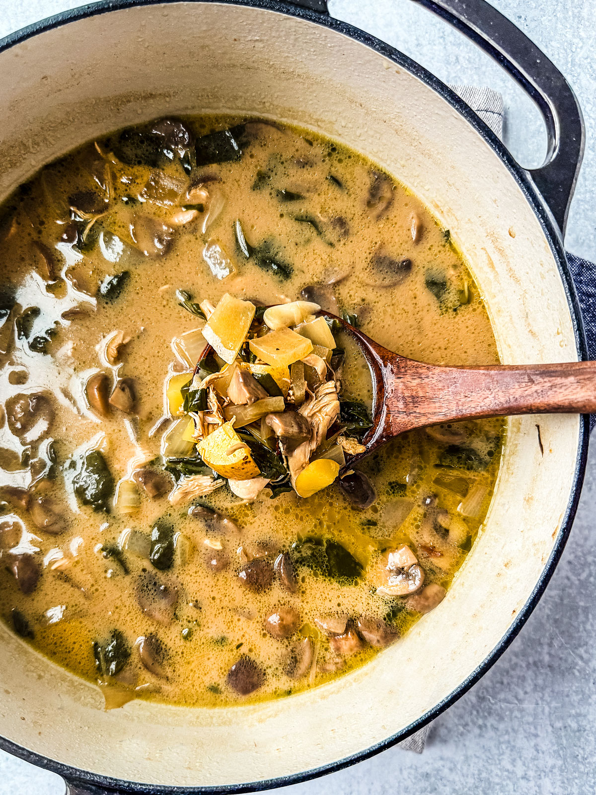 Large pot of creamy chicken marsala soup.