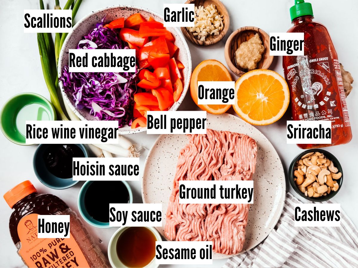 Ingredients for the dish sprawled out on a white background.