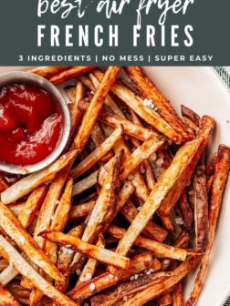 best air fryer french fries PIN