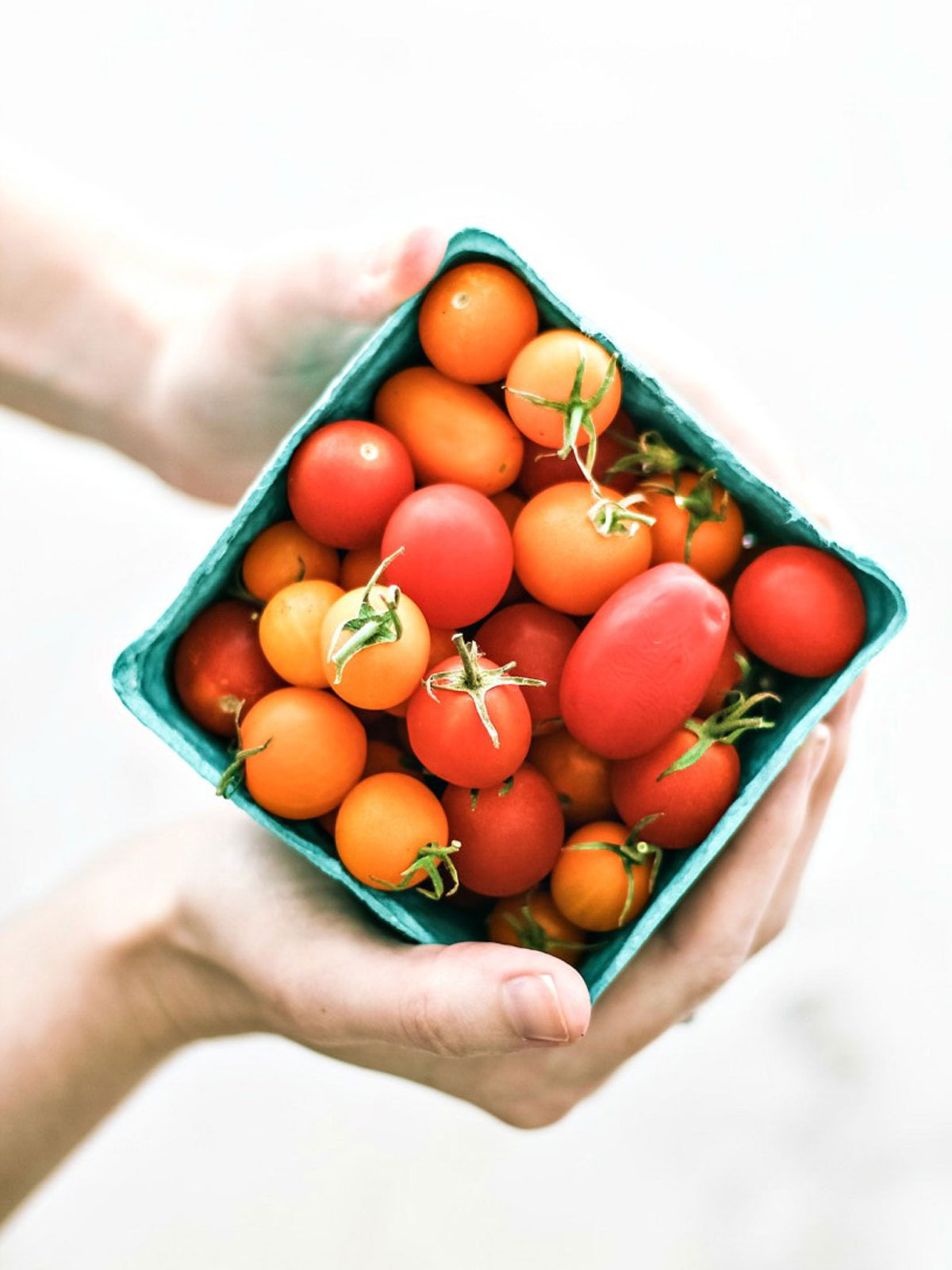 Hands holding a small carton of grape tomatoes.